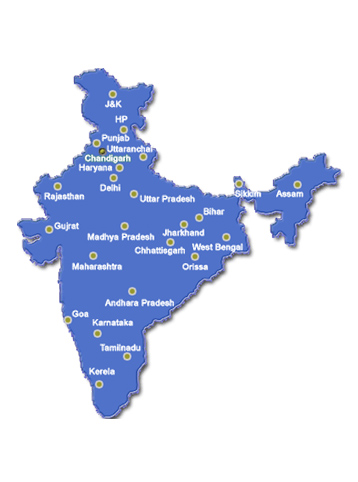 Domestic Market in India